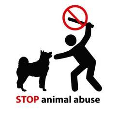 Top 15 Animal Abuse States