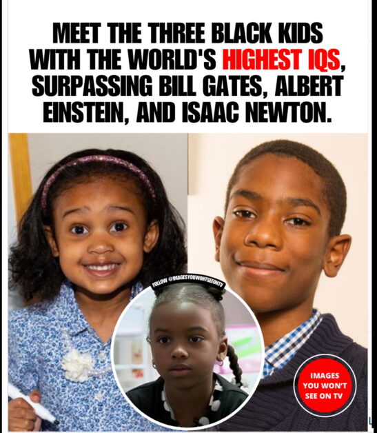 Unsung Genius. The Rise of Young Black Intellectuals