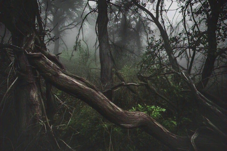 Sinners” Smashes Expectations: A Deep Dive into Gen Z’s New Horror Obsession